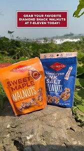 Planning an end-of-summer road trip? Find our Snack Walnuts at 7-Eleven to enjoy along the way!☀️ #MadeForSnacking | Diamond Nuts