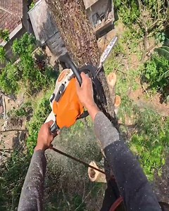 POV Tree Top Chainsaw Techniques: Precision Cutting While Climbing . . . . #woodworking #woodwork #woodart #UnitedStates #unitedkingdom #australia #canada #netherland #treework #arborist #femalearborist #pfanner #treejack #treefalling #treefaller #timber #femalefaller #chainsaw #stihl #stihlchainsaw #logging #treeremoval #harvest #lumberjack #timber #logging #logger #falling | Bulldozer Operator | Facebook