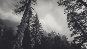 Avertissement de fortes pluies : une amélioration du temps attendue dans l'après-midi