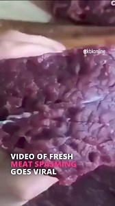 2.5K views · 32 reactions | Have you seen this before?When the meat is cut and the muscle cells are exposed to air, the remaining ATP can trigger muscle fibers to contract, causing the fasciculation or twitching.#kbkfoundation | Kbkonline | Facebook