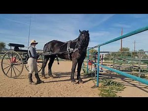 Hooking up and unhooking Draego