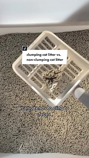Clumping vs. Non-Clumping Cat Litter: Which is Better for Your Feline Friend?