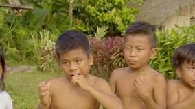 Happy Indigenous Children Eats Sugarcane Stock Footage - Video of tribal, outside: 158920710