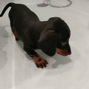 First bath is always so special