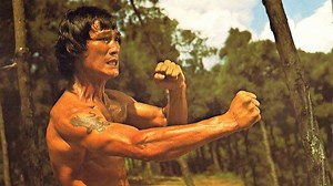 Sho Kosugi Ninja Theater