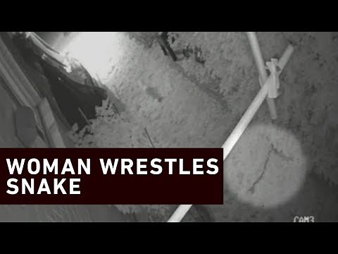 Woman wrestles snake off puppy