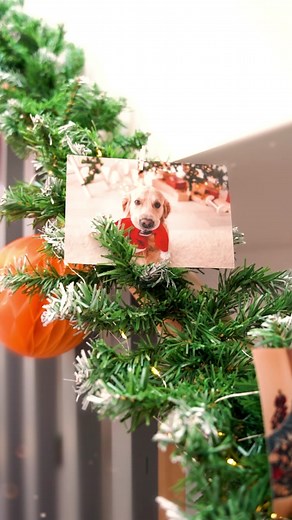 Creative Last-Minute Decor Ideas with Photo Garland