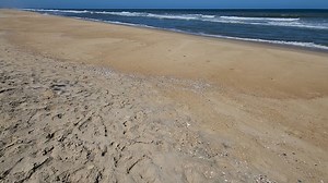 Take a walk in Southern Shores, NC  #obxnc #obxvacation #southernshoresrealtyobx #obx | Southern Shores Realty - Outer Banks | Facebook