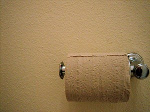 New toilet paper is recycled and brown, and that's not QUITE as gross as it sounds