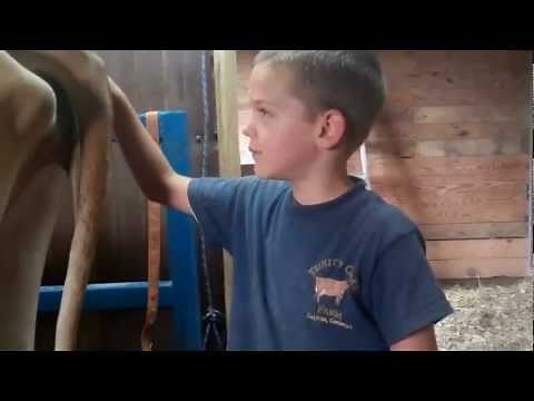 Milking a family cow at Trinity Oaks Farm pt. 2