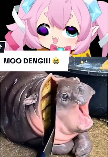 MOO DENG Screaming Anime Moments | Anime TikTok Compilation