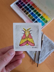 Rosy Maple Moth - Etsy
