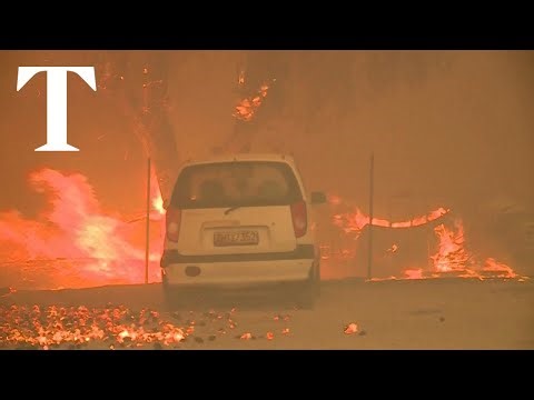 Greece wildfires: woman dies and thousands forced to flee Athens regio