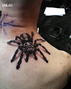 This hyper-realistic tarantula tattoo 🔥🕷 | UNILAD