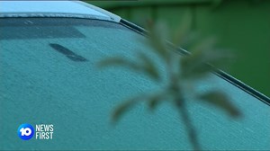 Former footballer Barry Cable has been stripped of one of his most prestigious sporting titles. Meanwhile, authorities are investigating an oil spill that has killed local wildlife and left dozens of birds covered in a dangerous muck. | 10 News Perth