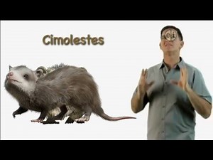 Dinosaur Discoveries Cimolestes