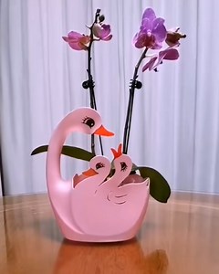 MetDaan Corner on Reels