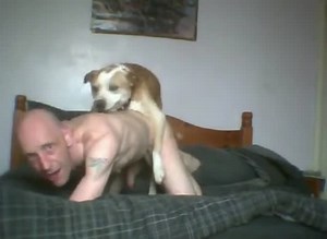 2 Dogs 1 Guy GayBeast Rip - boy Fucks Animal