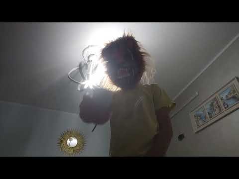 29 سبتمبر 2025