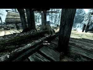 Skyrim: The Invincible Fox.