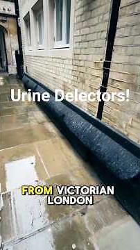 Did You Know About These London Piss Flaps?