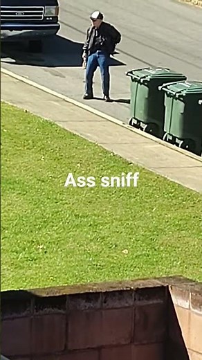 Ass Sniff (watch closely )