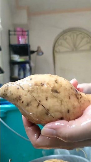 cleaning and washing sweet potatoes sweet 🍠🍠 #food #fyp