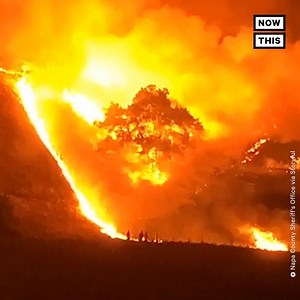 This footage shows the terrifying scope of the Glass Fire, which has ripped through Northern California this week. Thousands of people have been displaced and at least 80 homes have been destroyed in Napa and Sonoma counties. The fire had burned more than 46,000 acres and was 2% contained by Tuesday evening, according to Cal Fire. Scientists say the climate crisis is making wildfire seasons longer and more destructive. Rising temperatures have created arid conditions in forested lands, which mak
