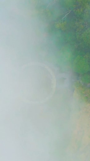 4 waterfalls in Kodaikanal that are easily accessible for everyone! Visit Tripzilla.in for Travel news and Travel ideas!📖🖼️ Like and Follow @tripzilla.india if you love to travel!!🛫 📽️: @sriranga_rao #kodaikanal #tamilnadutourism #waterfalls #hiddenwaterfalls #placestovisit #travelinspiration #travelindia #TravelIndia #tripzilla #tripzillaindia | TripZilla India