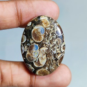 Turritella Agate Natural Oval Shape Cabochon: Loose Gemstone for Making Jewelry { Size - 37X27X6 Mm, 49 Ct. } A-342 - Etsy