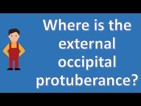Where is the external occipital protuberance ? | Best Health FAQ Channel