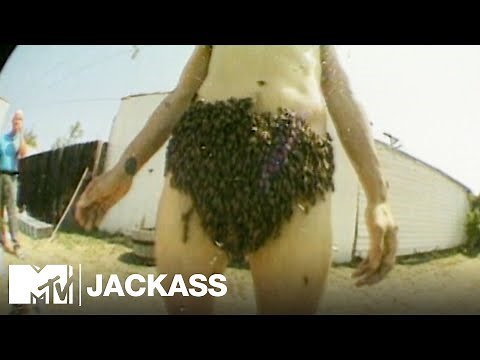 The Beekini (2000) | Jackass
