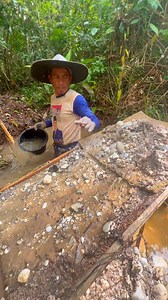 12K views · 135 reactions | Mining gold in the forests of Sumatra, Indonesia, this young man discovered large gold deposits #mininggold #sumatra #indonesia #golddiscovery #golddeposits #goldnuggets #goldpanning #goldsluice #sluicebox #sluiceboxforgold #traditionalgoldmine #goldenriver #goldriver | Nepri Andries | Facebook