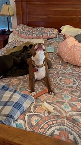 22K views · 2.1K reactions | “Crazy” by Patsy Cline (1961 excellent year btw) | The daily adventures of Gilligan & Skipper | Facebook