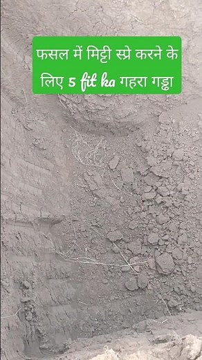 CVR SOIL TECHNIQUE सिर्फ मिट्टी के स्प्रे से कीट नियंत्रण,CVR METHOD #viral #rural_life_india #Short