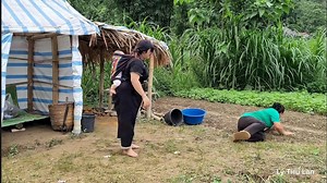 11K views · 268 reactions | part60 The girl harvested sugar cane to sell and was destroyed by an evil woman who destroyed her home | Oyes | Facebook