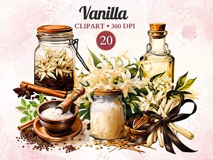 Vanilla Clipart, Spices Clipart, Spices Png, Spice Ingredients, Herbs, Jars, Cooking Illustration, Condiment, Culinary, Food, Watercolor - Etsy