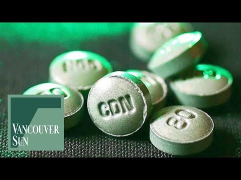 Crash victim's psilocybin treatments only covered by ICBC if authorized: Appeal court