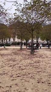 1.4K views · 209 reactions | Paris, Always Amazing Place dauphine Crédit Photo: @parisdomeujeito Follow us on IG: @champselysees_paris www.champselysees-paris.com © Paris, Always an Amazing idea! #paris #igersparis #placedauphine | Paris, France | Facebook