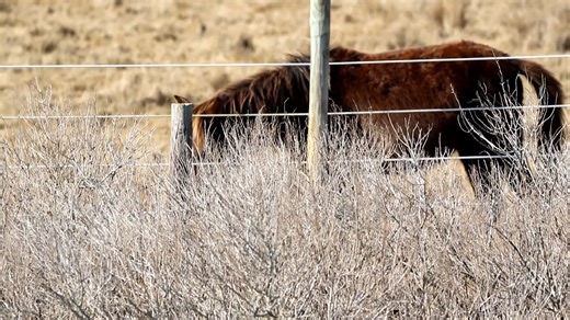Itchy Hayden | DSC Photography