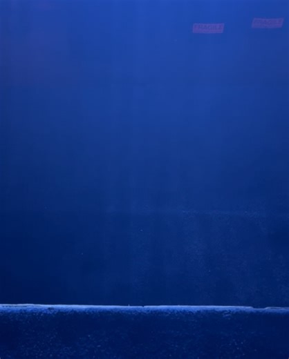 15K views | Reggie Watts on Reels | Facebook