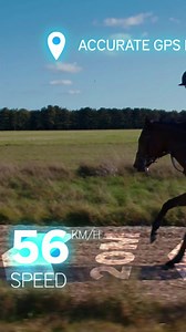 Racing professionals have no time to lose. Discover EQUIMETRE, the most advanced performance and health monitoring technology for athlete horses. Automatic recognition of the horse by the veterinary chip : GPS - speed Cardio - recovery Locomotion - stride Discover more on our website! | Arioneo