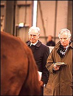 Bright future for British-bred show jumpers - Horse & Hound