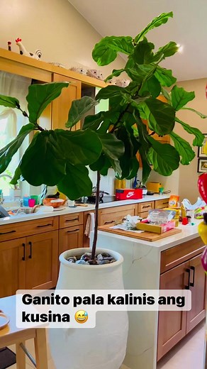 Organized kitchen ni Ate Buding #OrganizationGoals #organizedkitchen #organizedhome #OrganizedLiving #kitchengoals #cleanhouse #cleanhomehappyhome #cleanhome #fbreelsvideo #AteBuding #diningtable #ikeatable #woodkitchen | Fefe Morena