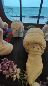 Thompson Travel International on Reels | Facebook