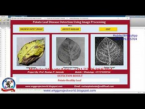 Potato Leaf Disease Detection Using Matlab | Machine Learning | Potato Plant Disease Prediction
