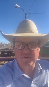 63 reactions | Over 10,000 head on the big Monday sale at FLA! Watch and buy online at www.cattleusa.com! | Hot Barn Report | Facebook