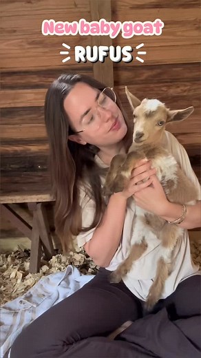 Rufus is probably the tiniest and sweetest soul ever. #babygoats #farm #farmlife #homestead #goats | MindyBryant