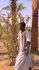 Taste the vibrant flavors of Aswan, grown right here in our own soil. Our nutritionists and chefs collaborate to ensure every bite supports your personal goals and gives you the energy you need to flourish. Discover the joy of mindful dining at The Zen Wellness Resort by MGM Health & Wellness. Taste the freshness of our garden and join us for a culinary experience like no other. #zenwellnessresort #aswan #MGMWellnessClub #FarmToTable | The Zen Wellness Resort, Aswan