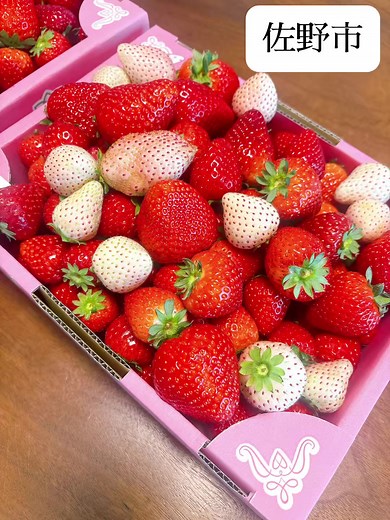 訳ありばら摘みいちご1箱1000円！栃木県佐野市